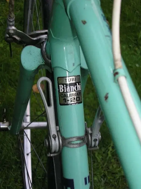 Bianchi4.webp