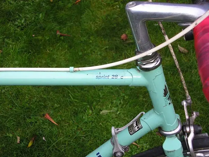 Bianchi5.webp