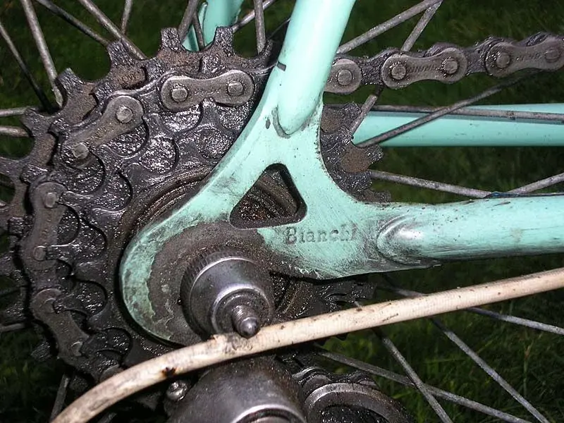 Bianchi7.webp