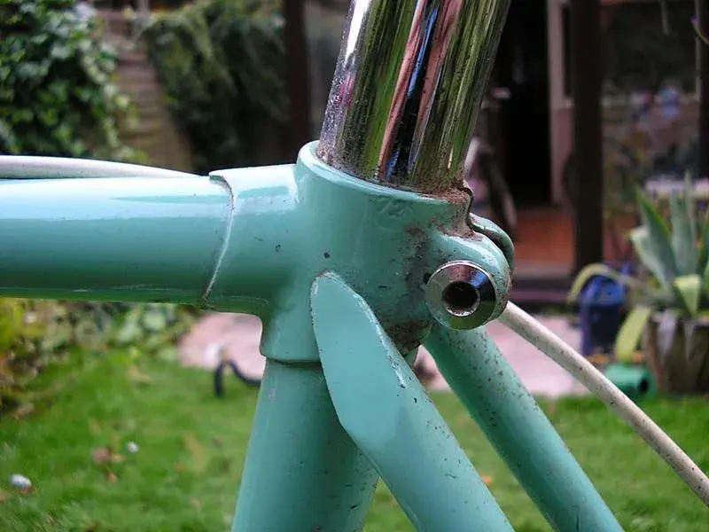 Bianchi8.webp