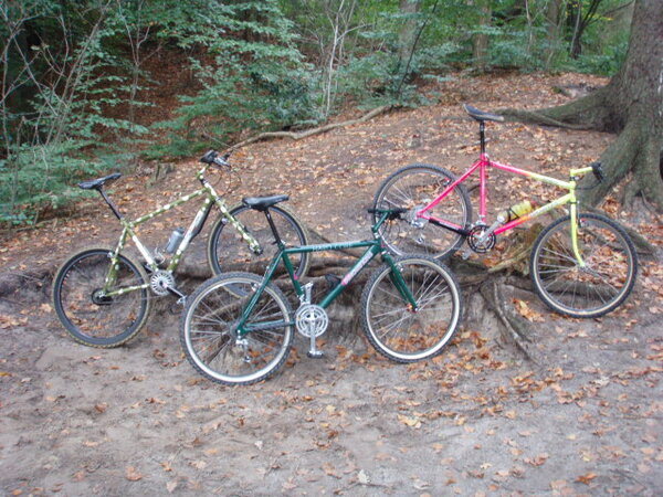 Three Wise Bikes.JPG