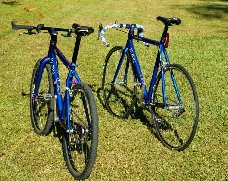 blue_pair.webp