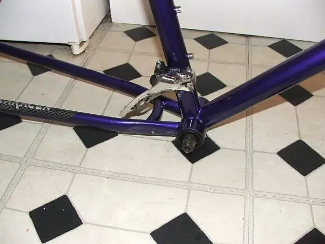 saracen3.webp
