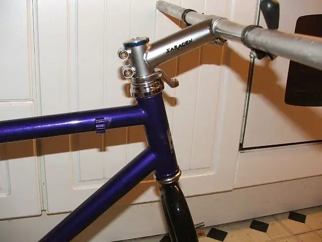 saracen2.webp