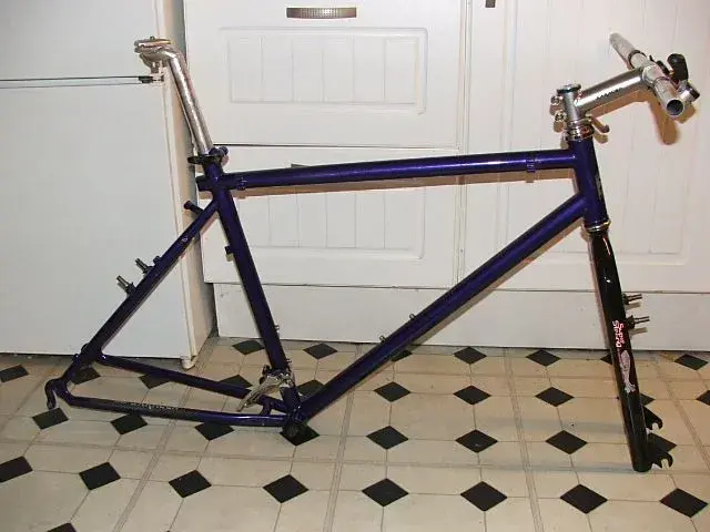saracen1.webp
