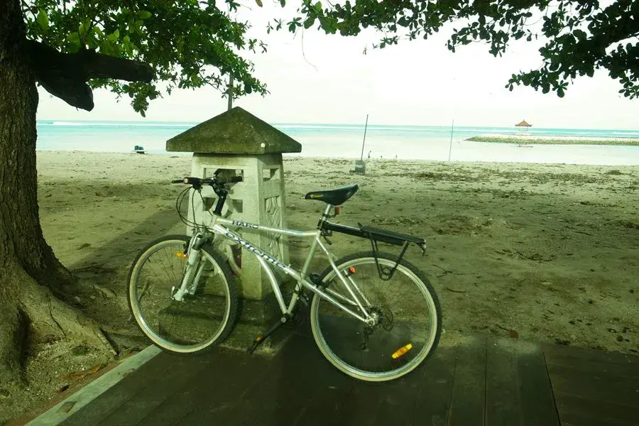 to-the-beach.webp