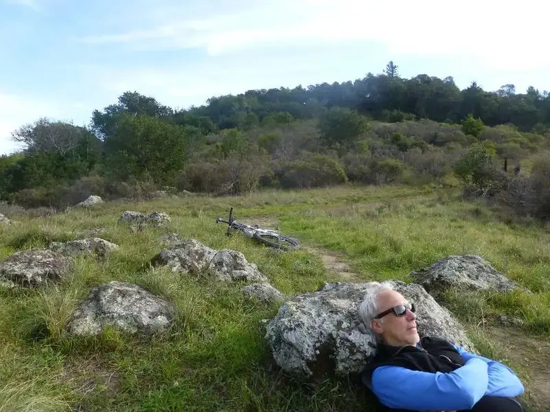 Snoozin' at the top.webp