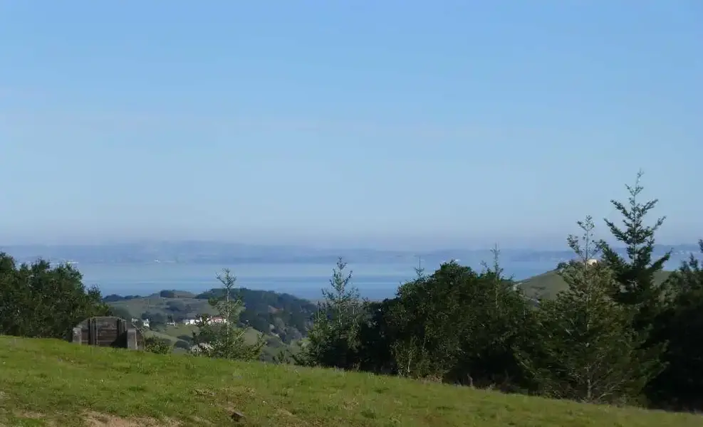 North Bay.webp