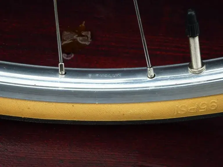 rearwheel.webp