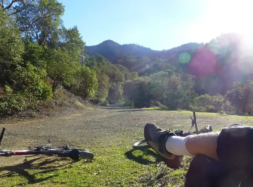 On Hippie Hill.webp