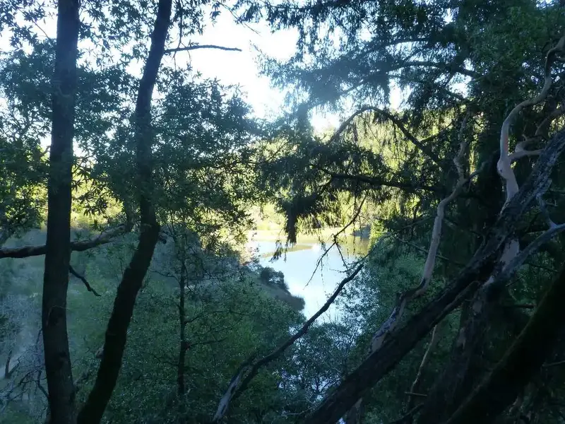 Phoenix Lake.webp