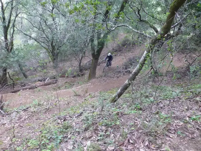 Switchbacks.webp