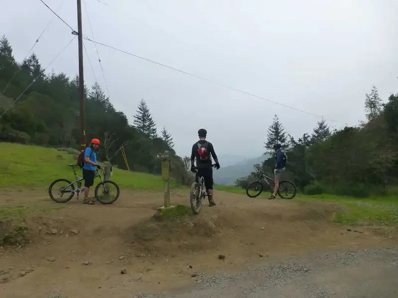 Trail Junction.webp