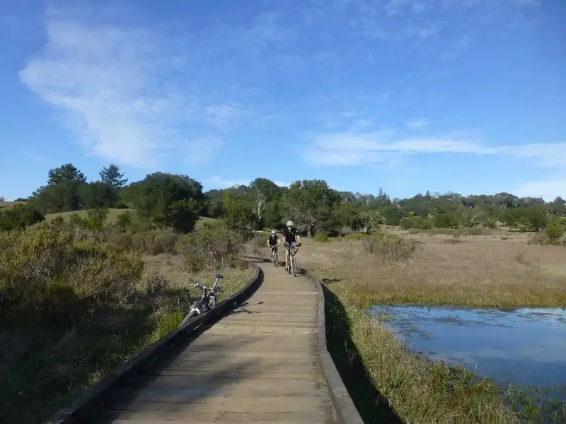 Magic Bridge.webp