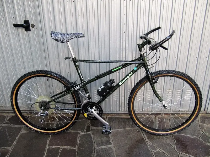 Bianchi Pholcus (2).webp