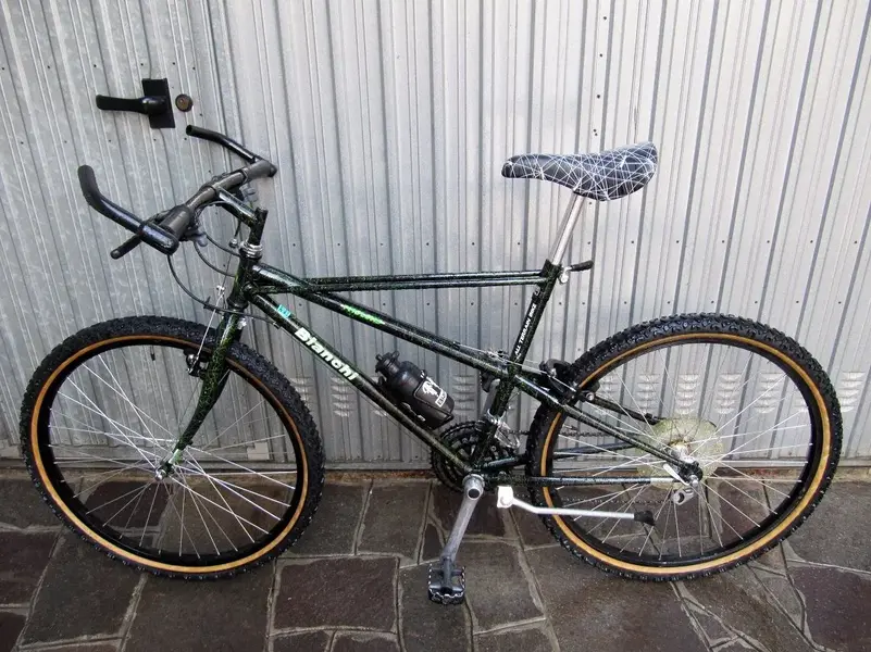 Bianchi Pholcus (3).webp