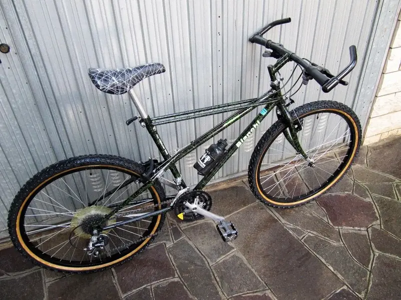 Bianchi Pholcus (5).webp