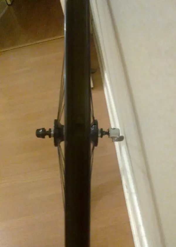 foto5.webp