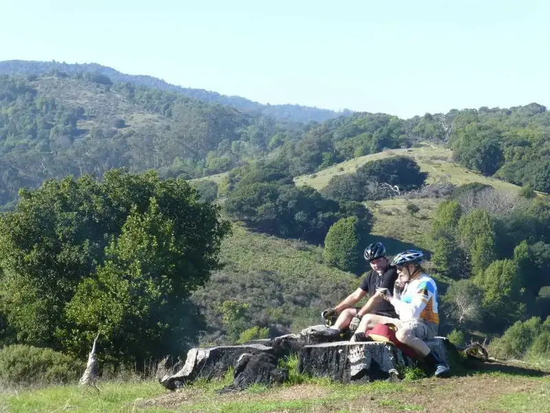 Rest Stop.webp