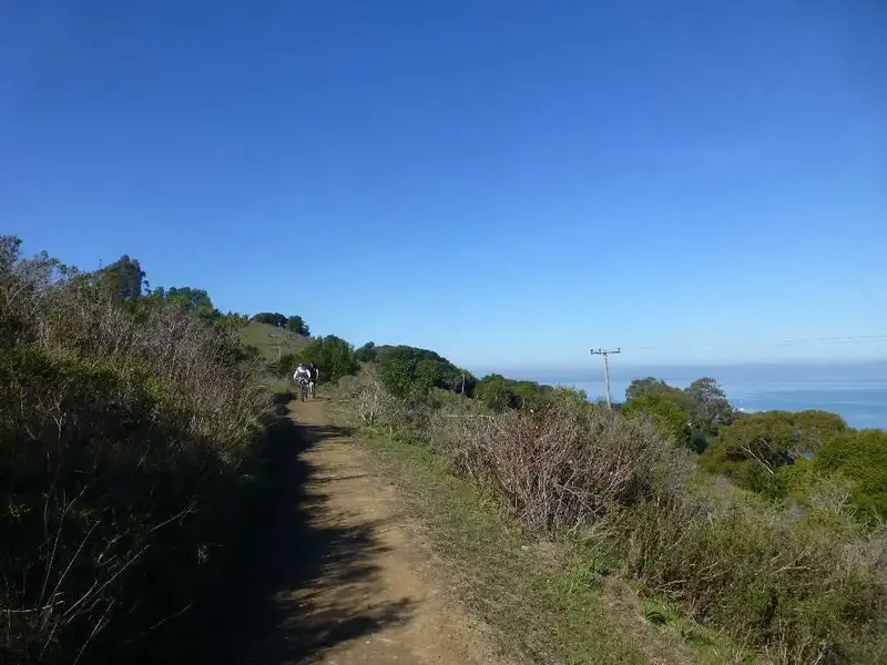 China Camp Trail.webp