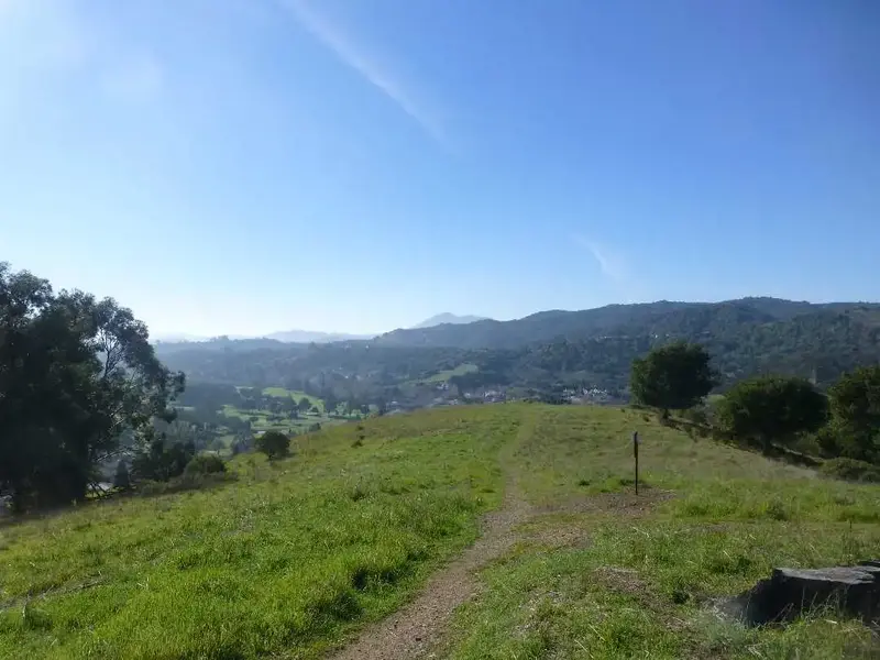 Looking West.webp