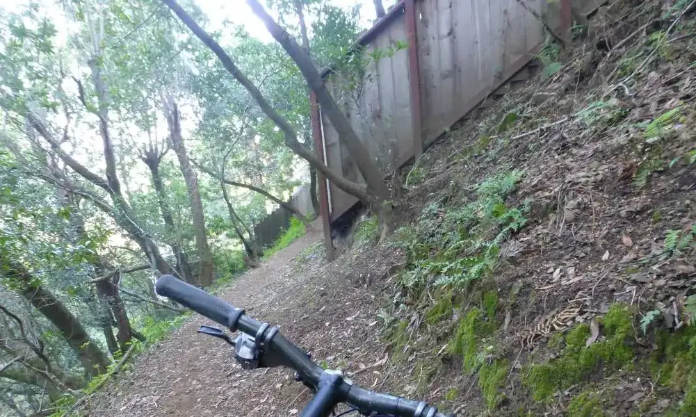 Pretty Steep.webp