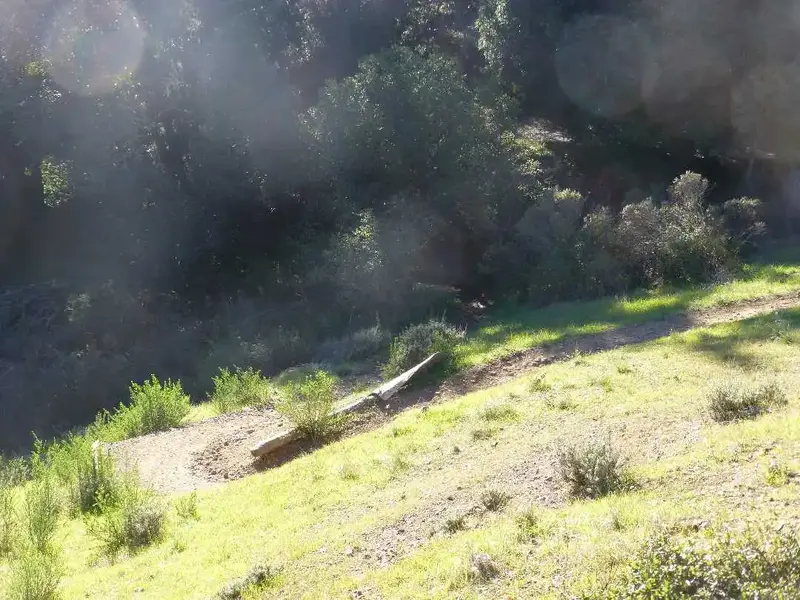 Tight Switchback.webp