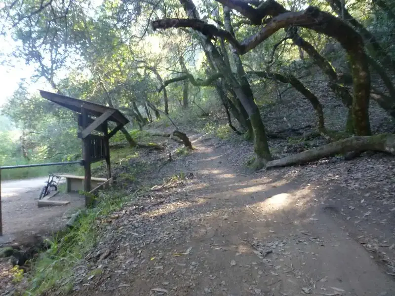 Alchemist Trail.webp