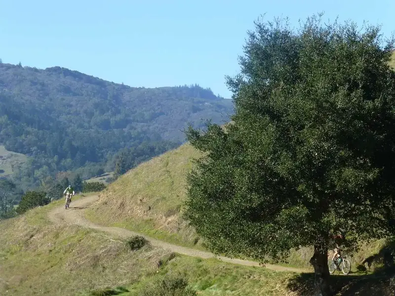 On the Trail.webp