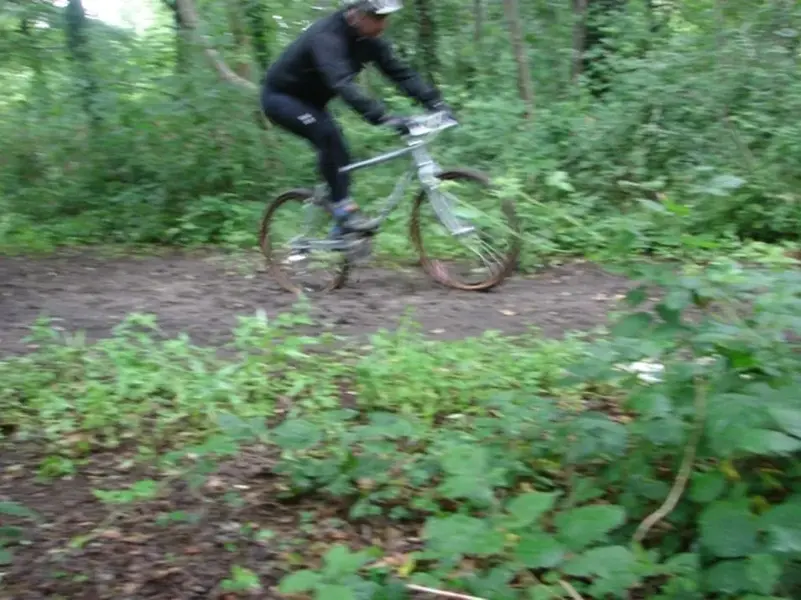 good%20in%20the%20mud.webp