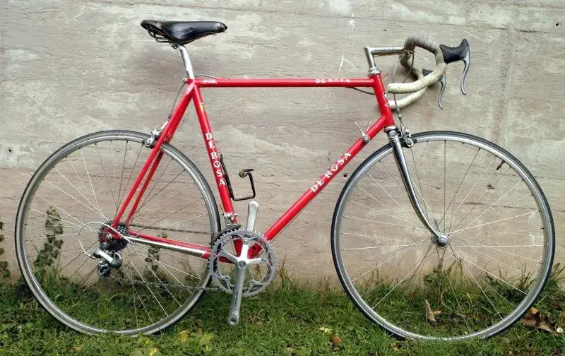 de rosa1.webp