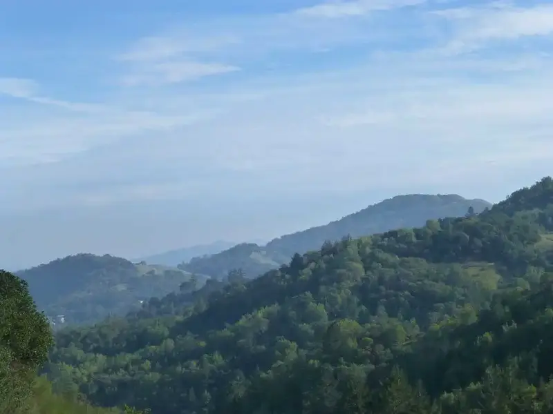 view from 900' up.webp