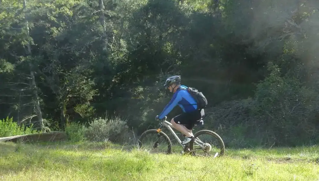 On the trail.webp