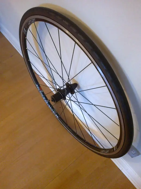 bontrager3.webp