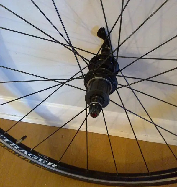 bontrager5b.webp