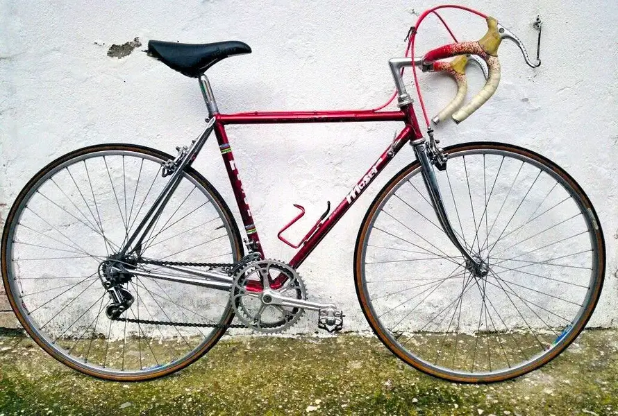 Moser-of-some-sort.webp