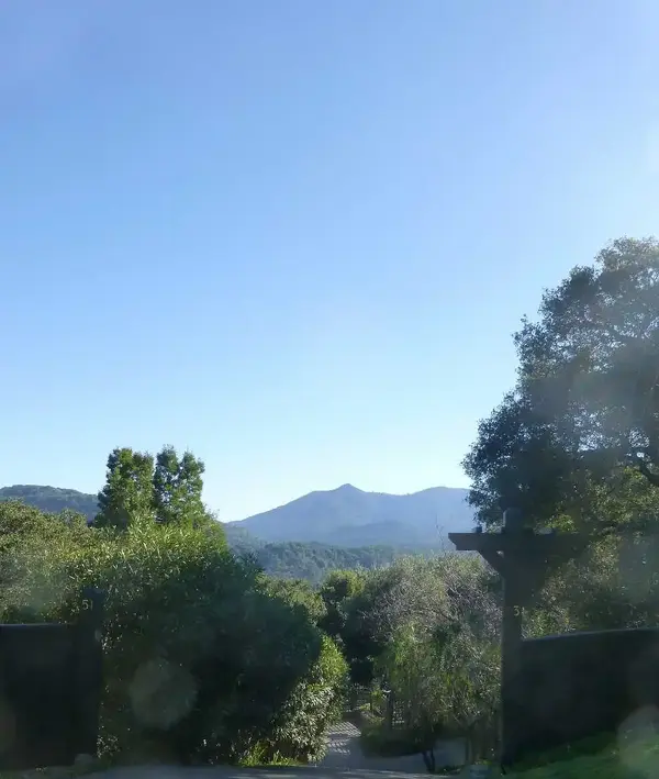 Home with a view at 800'.webp