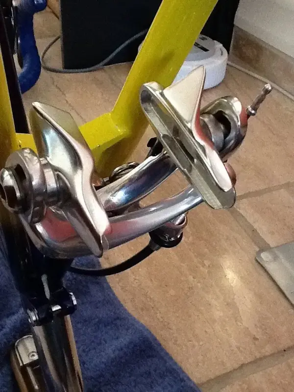 image.webp