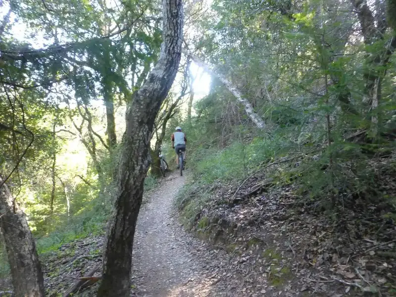 Broken Dam trail.webp