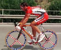 cipollini.webp