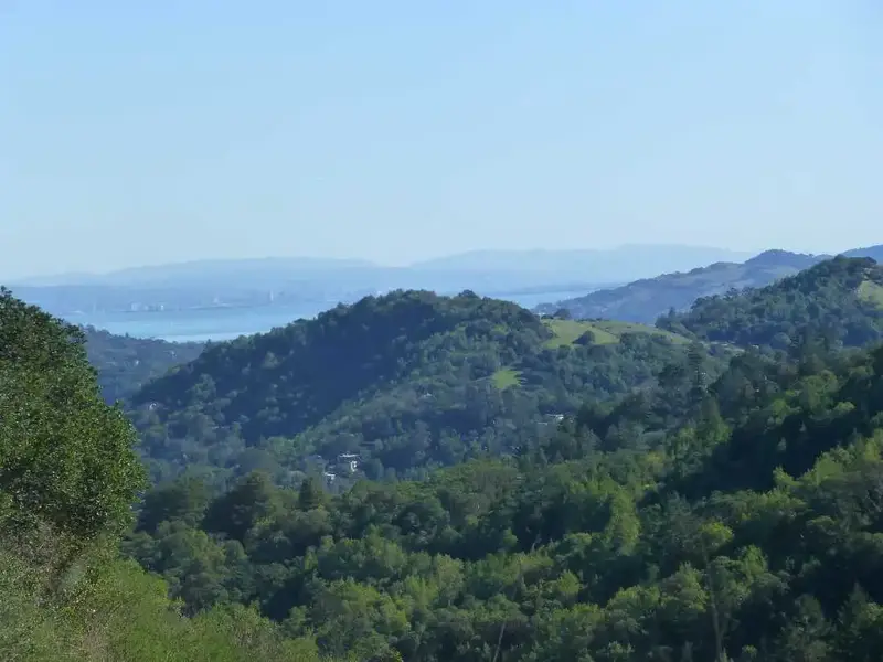 SF Bay.webp
