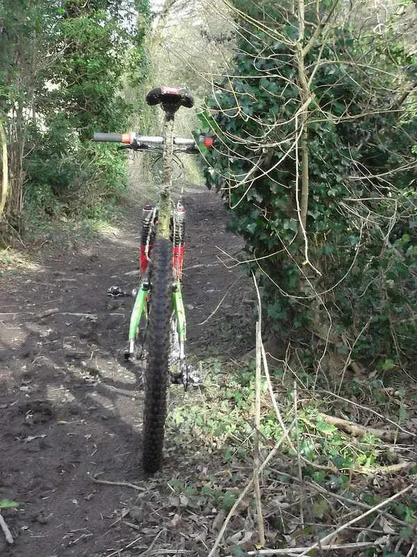 endo first ride 4.webp