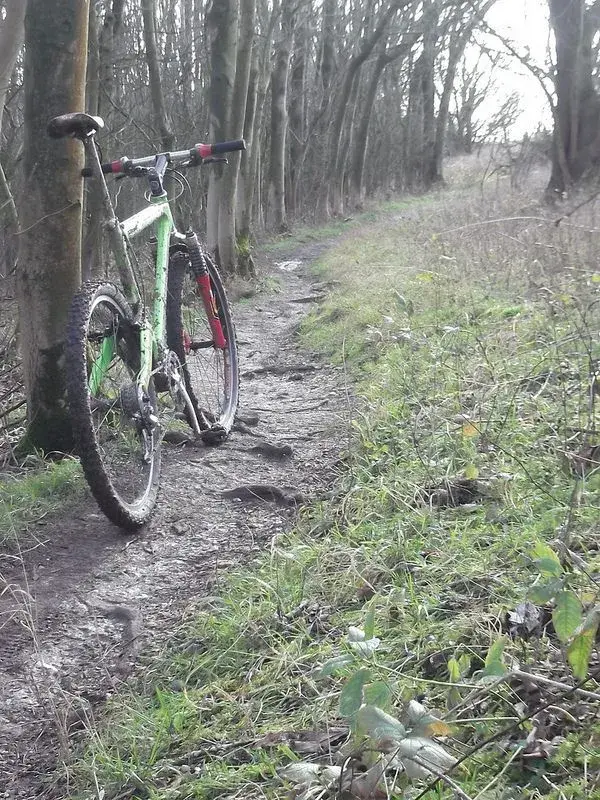 endo first ride 3.webp