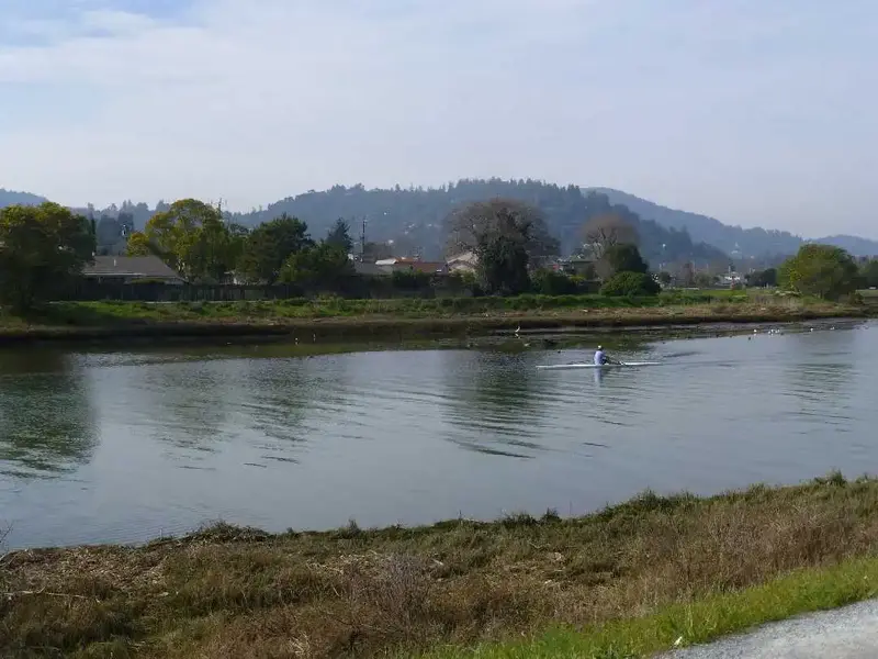 Rower.webp