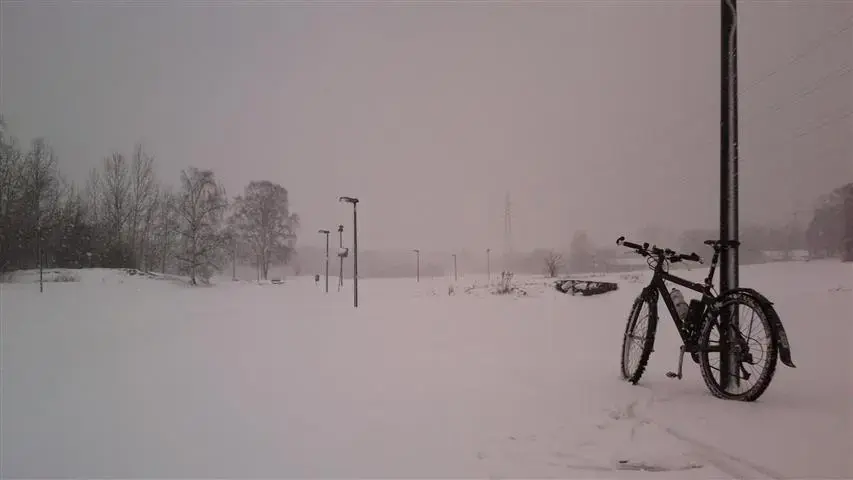 the big white.webp