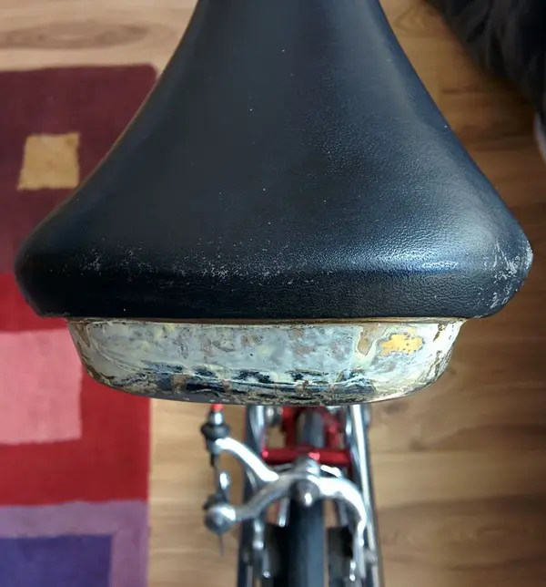 Saddle-Before-1f.webp
