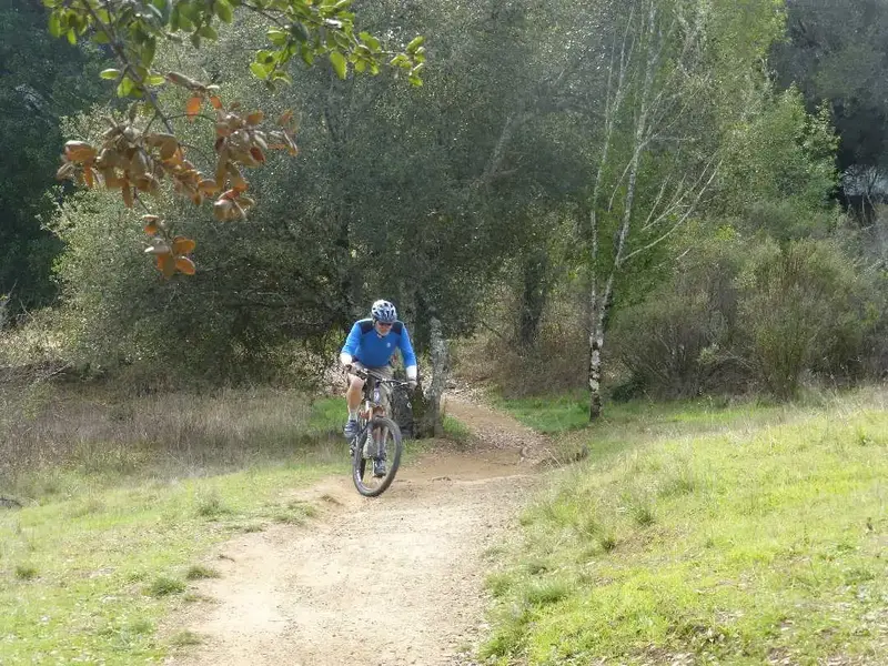 Big Meadow trail.webp