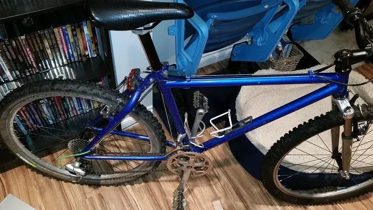 Ritchey1.webp