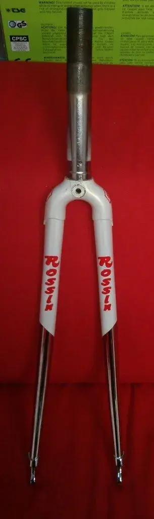 Rossin 6.webp