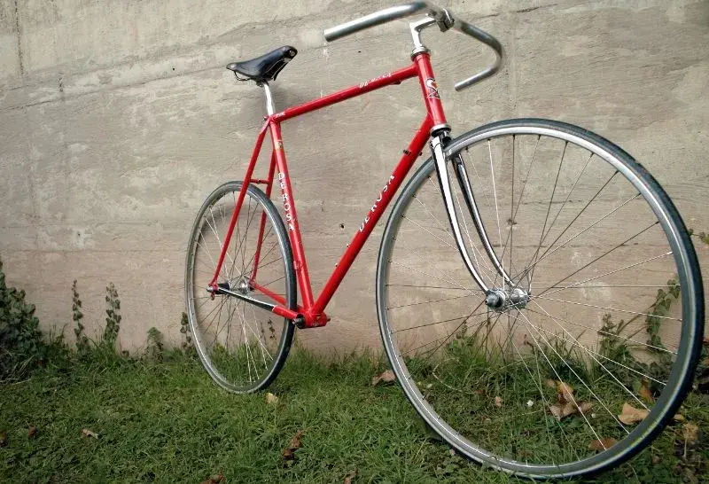 de rosa22.webp